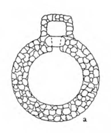 Мегаза; толос, рубеж IV и III тысячелетий до н. э.