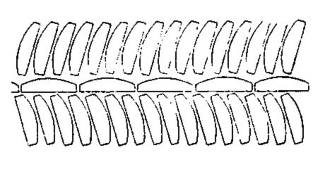 Двуречье. Схема кладки стен односторонне-выпуклым кирпичом