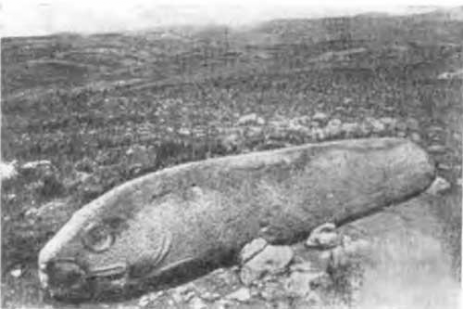 Закавказье. Имирзек. Вишап в форме рыбы