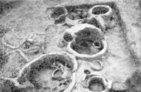 Грузия. Шулавери, селище. Остатки жилых помещений, V тысячелетие до н. э. Общий вид