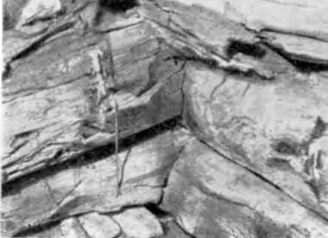 Грузия. Самгорский курган. Деревянный сруб подземной камеры, конец III тысячелетия до н. э.