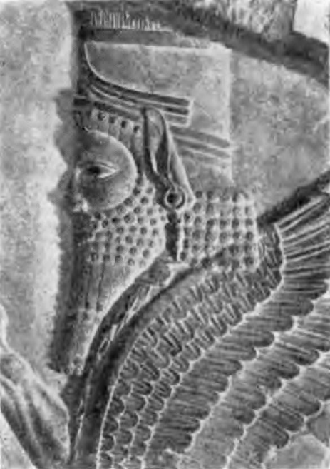 Иран. Персеполь. Дворец Дария. Рельефное изображение