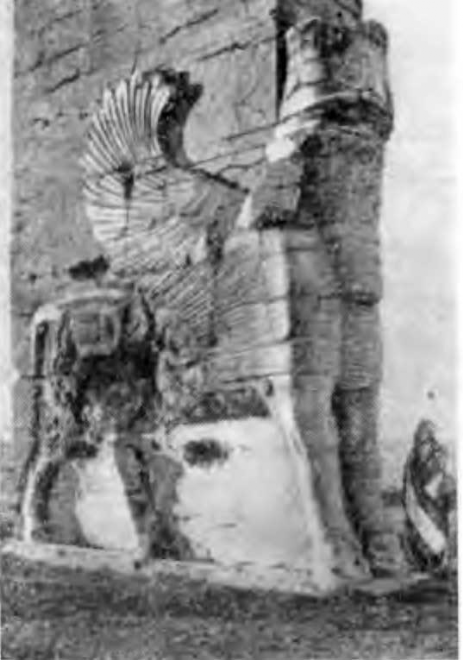 Иран. Персеполь. Пропилеи. Рельефное изображение крылатого быка на пилоне.