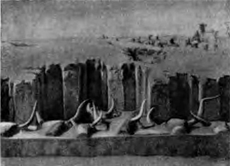 Раннее царство. Гробницы. Саккара. Большая гробница I династии № 3504. Фрагмент южного фасада с головами быков