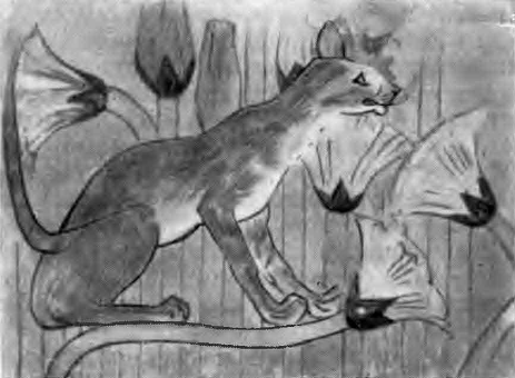 Гробницы знатных вельмож. Гробница Хнумхотепа в Бени-Хасане. Фрагменты росписей: кошка
